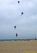 Cervia Cup - Euro Cup 2013 - 375